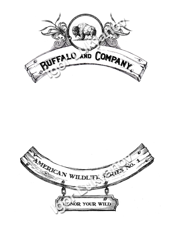 600x779 New Illustrator And Artist Commission American Wildlife Illustrations