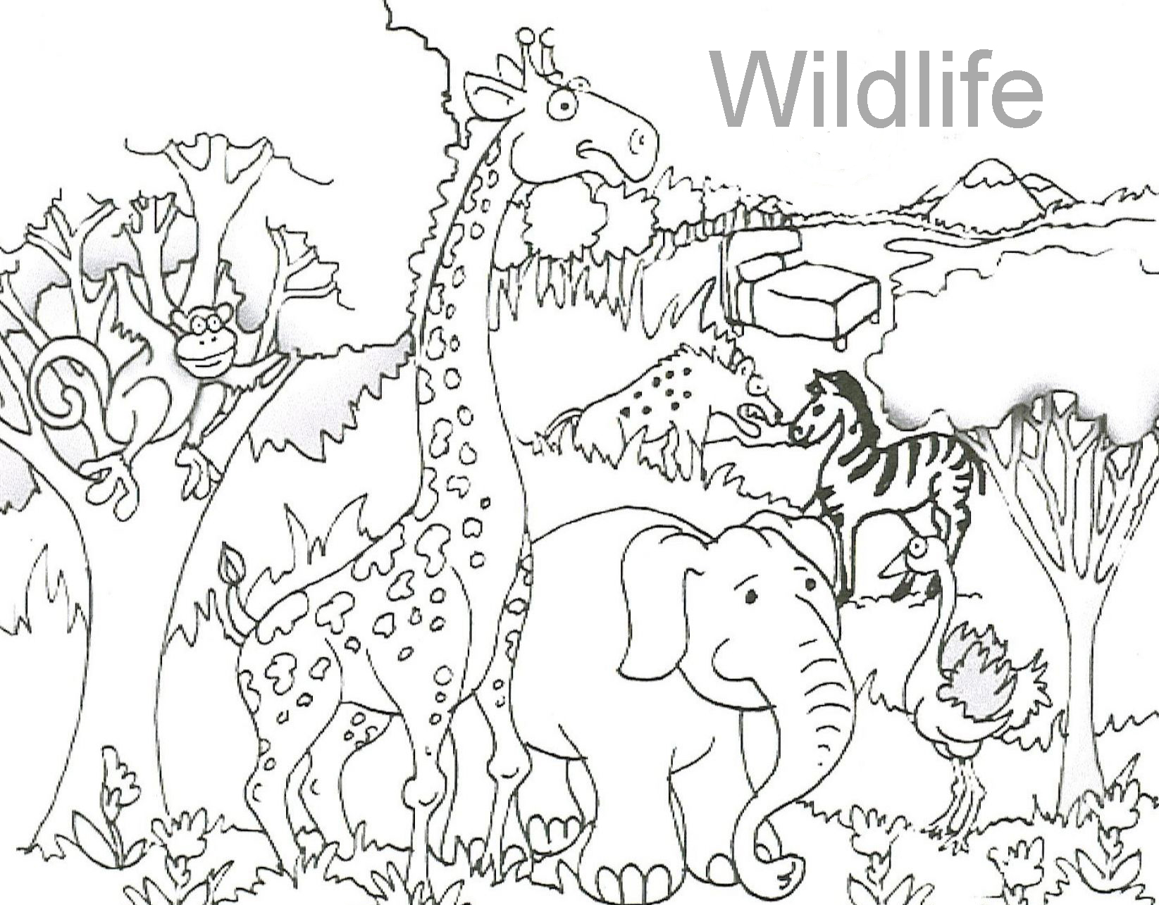 1645x1285 Wildlife Coloring Pages To Download And Print For Free