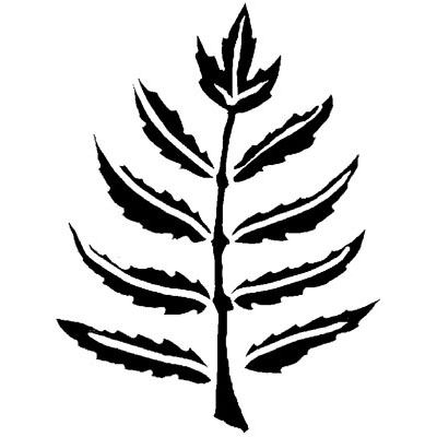 400x400 Willow Leaf In Botanical Wedding