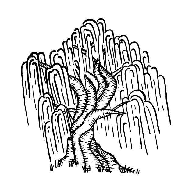 630x630 Simple Willow Tree