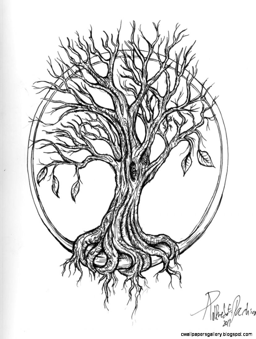 828x1093 Tree Drawing Tattoo Wallpapers Gallery