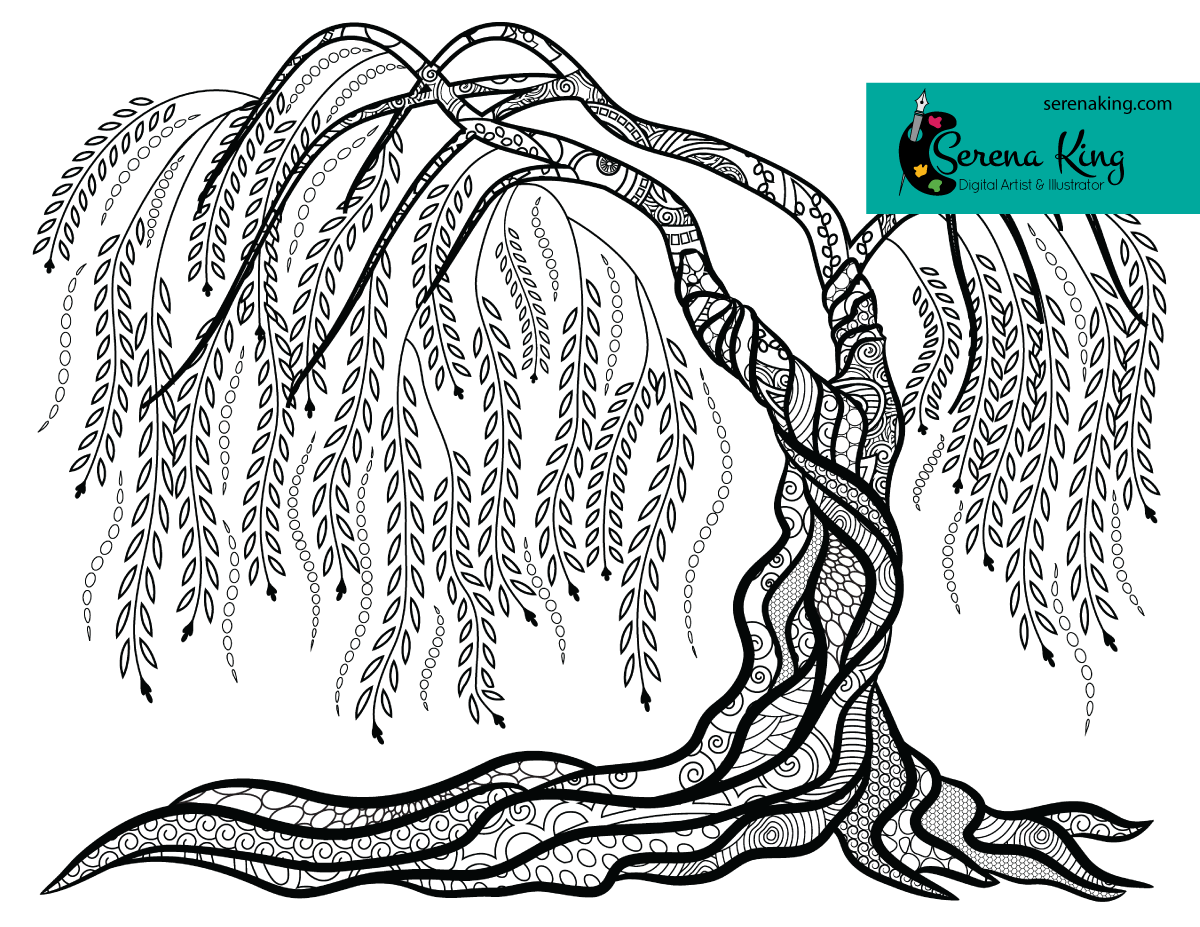 1200x927 Willow Tree Coloring Page