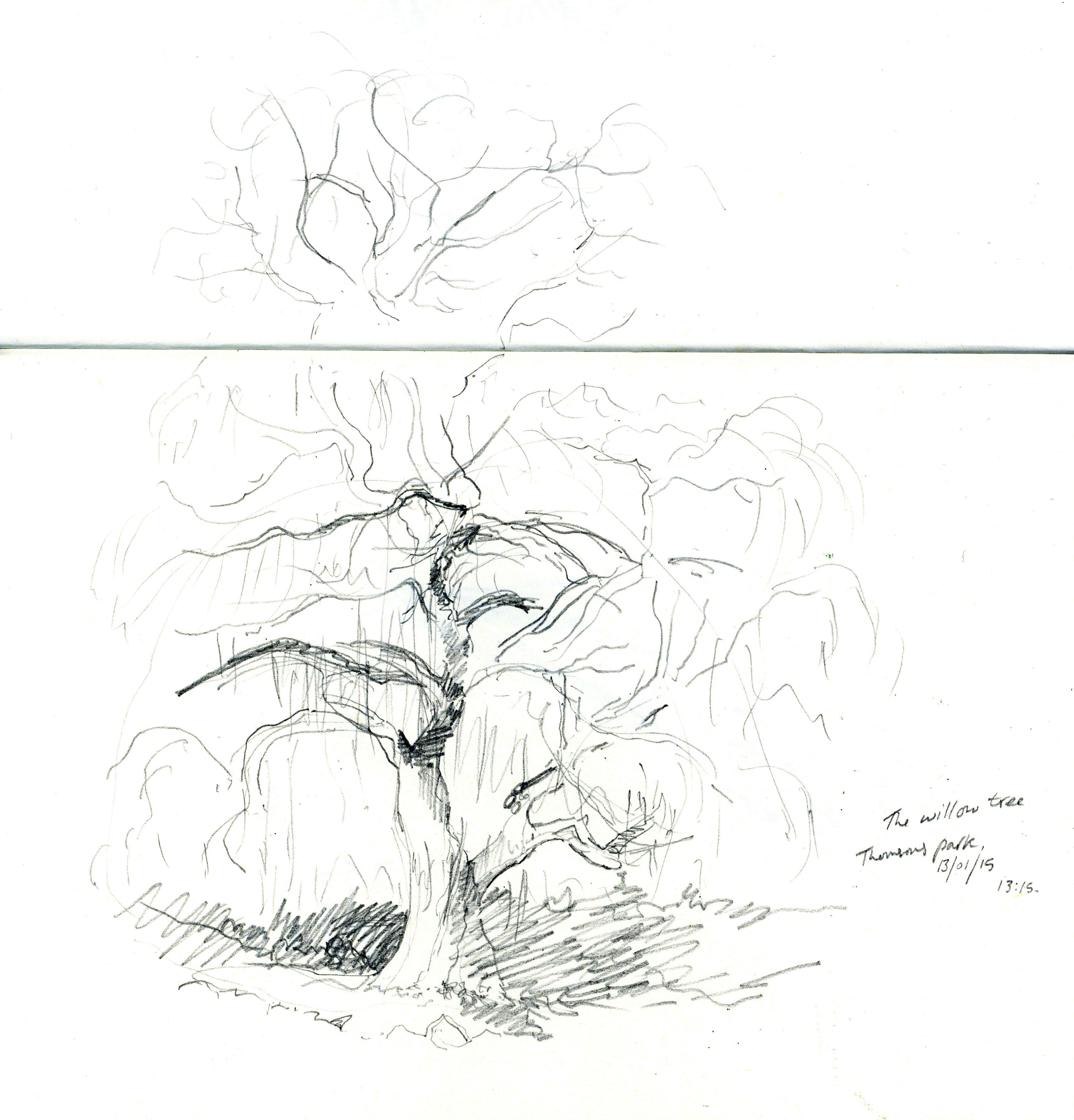 3421x3568 Willow Tree Screen Prints Rosie Turner