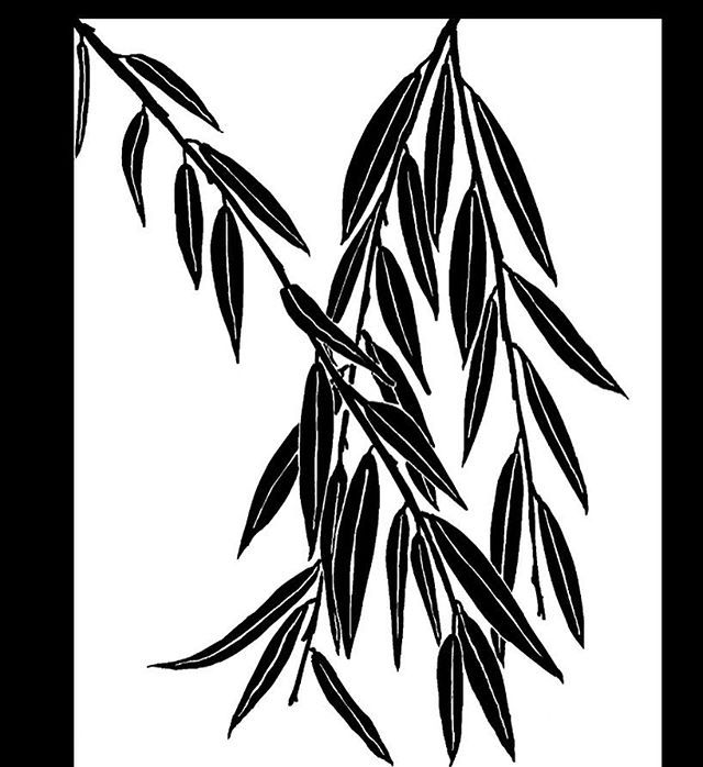 640x698 87 Best Artwork Images On Drawing Sketches, Peregrine