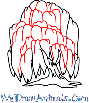 300x350 How To Draw A Willow Tree