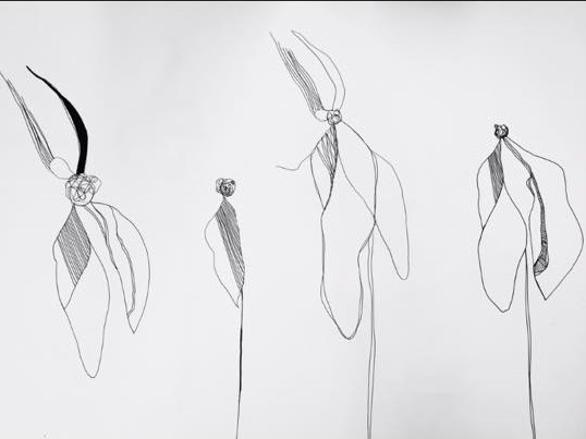 538x403 Stephanie Reid My Thoughts, Designs And Creations