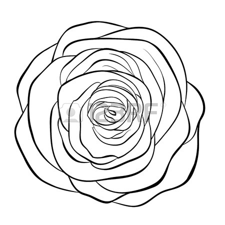 450x450 Old Rose Color Stock Photos Amp Pictures. Royalty Free Old Rose