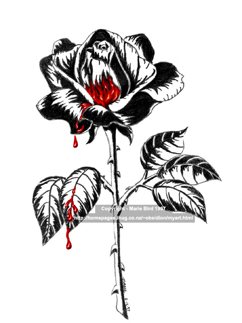 488x650 The Last Night Black Rose