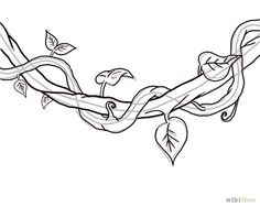 236x188 Drawings Of Flowers Leaves And Vines To Draw Vines, Step By Step