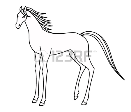 450x386 Drawing Of A Horse Standing Stock Photo, Picture And Royalty Free