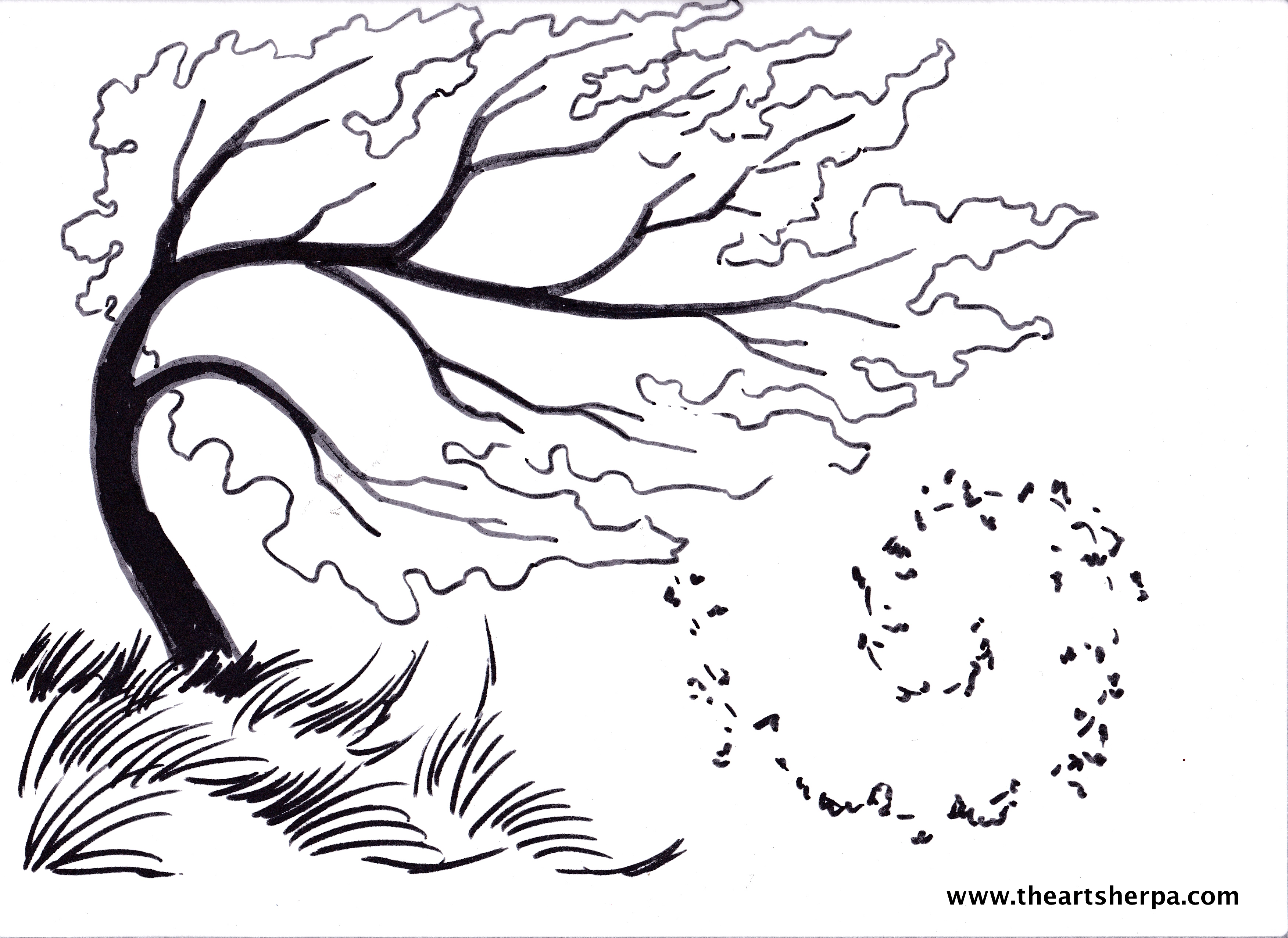 3504x2552 Birch Tree Blowing In The Wind For The Youtube Art Sherpa Full