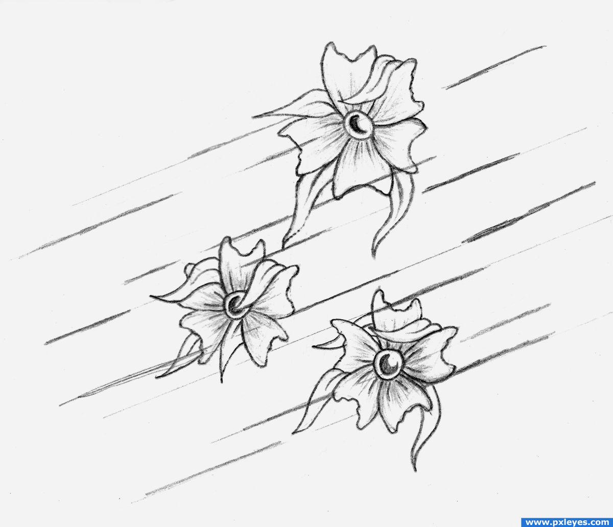 1200x1032 Wind Picture, By Raz0r For Flowers Drawing Contest
