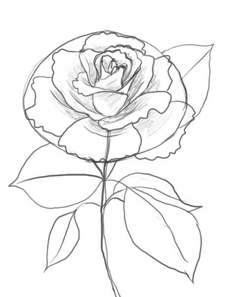 488x600 31 Best Drawing Images On Drawings, Pencil Drawings