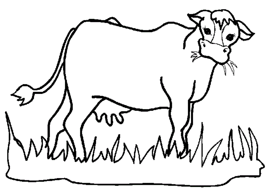 875x635 Cows Coloring Pages. Farmnimals Coloring Pages. How To Draw