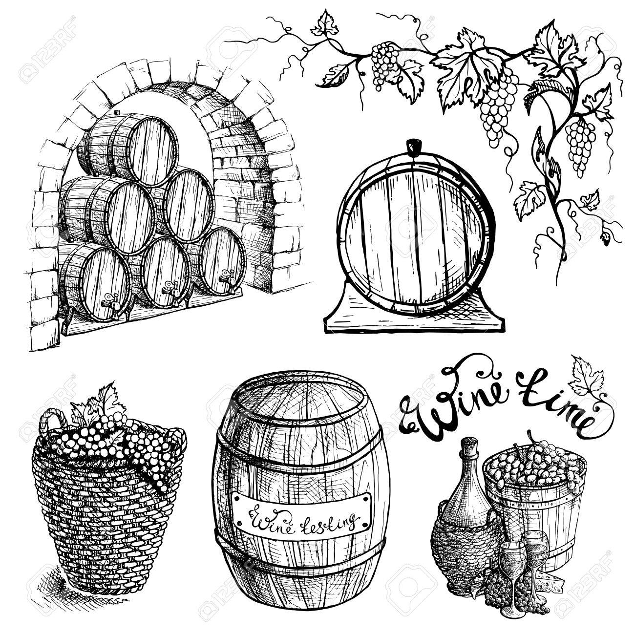 1300x1300 Set Of Grape And Wine Barrels In Graphic Style Hand Drawn Vector