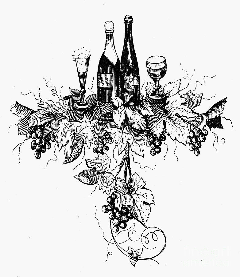 782x900 Wine And Champagne Photograph By Granger