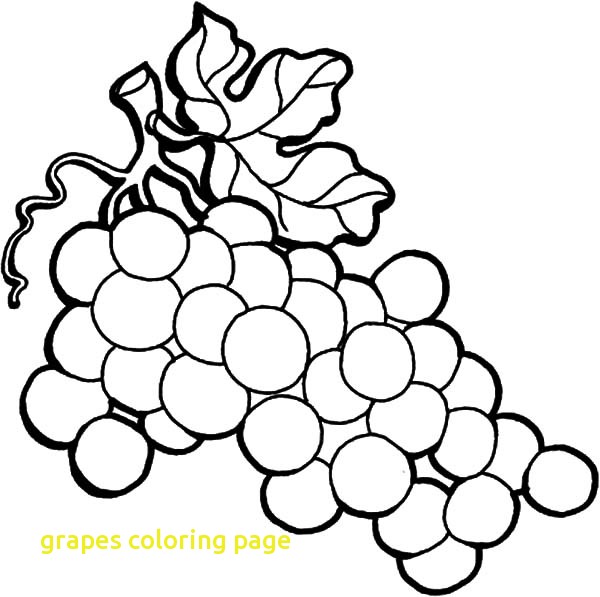 600x597 Grapes Coloring Page With Fancy Grapes Coloring Page 71 For Your