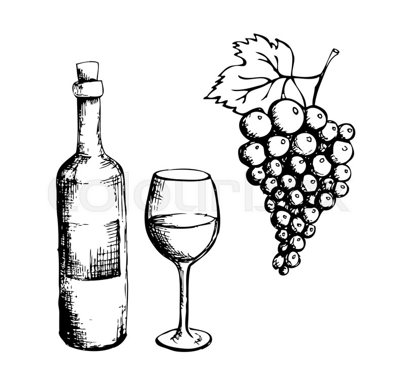 800x759 Hand Drawn Sketch Of Wine Bottle, Glass And Grapes. Menu Design