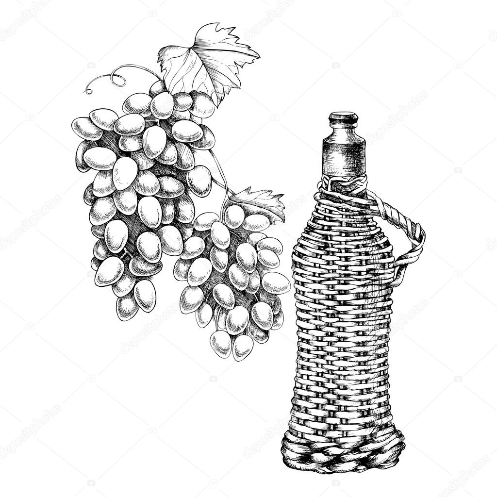 1024x1024 Set Of Grapes, Wine With Hand Drawing Style Stock Vector