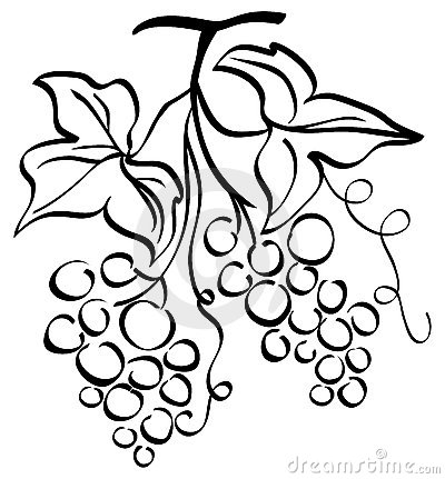 400x431 Wine Grapes Clipart Panda
