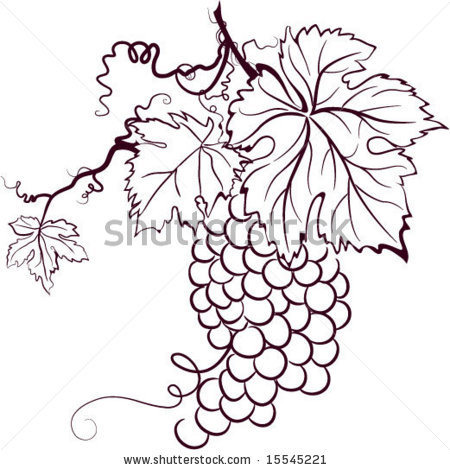 450x470 Sketch Of Grapes By Block23, Via Shutterstock Nasser