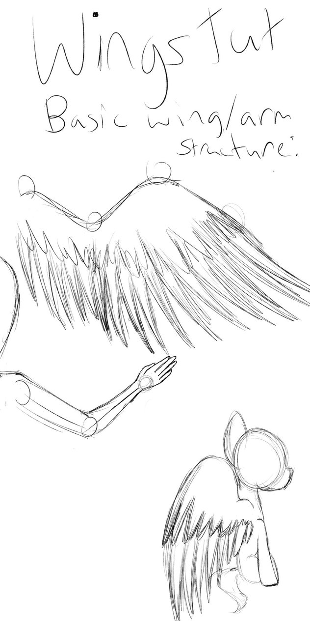 632x1264 Wing Tutorial By Pixelheartart