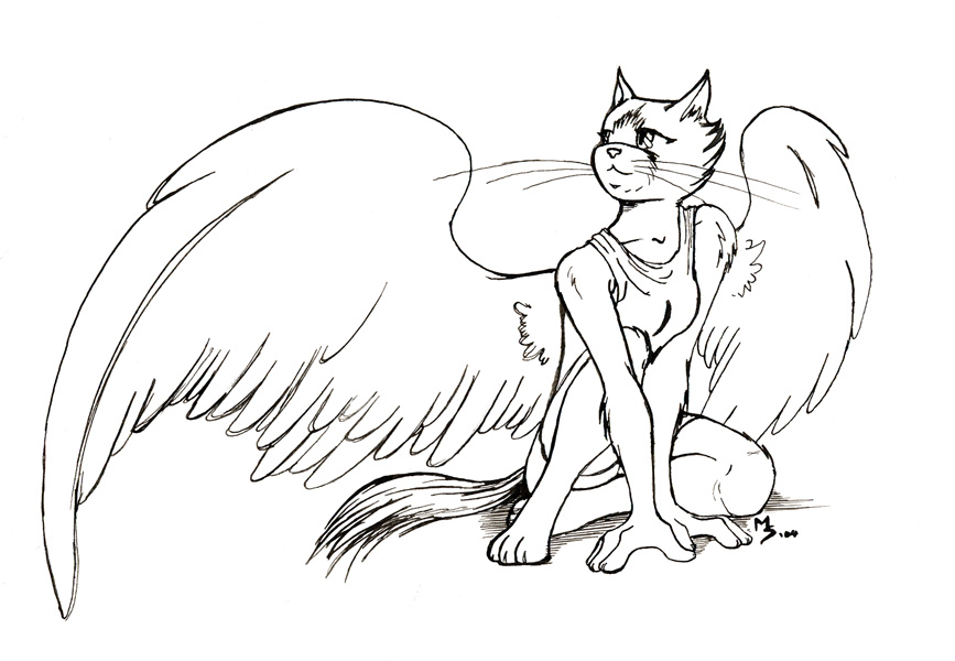 867x600 Cat Female With Wings