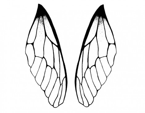 470x365 Drawn Dragonfly Dragonfly Wings