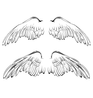 380x400 Wings Sketch Collection Cartoon Vector By Vladischern