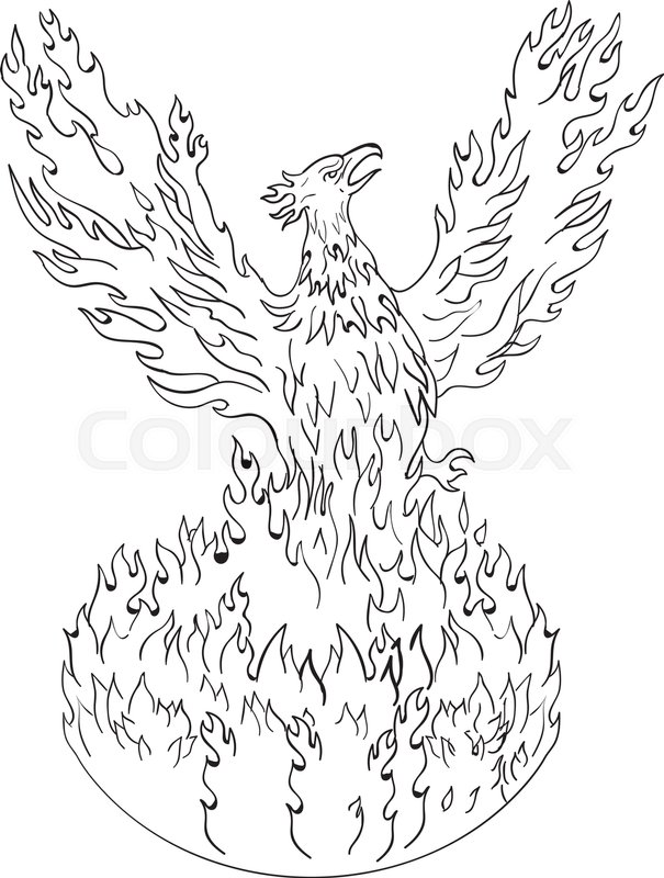 605x800 Drawing Sketch Style Illustration Of A Phoenix Rising Up