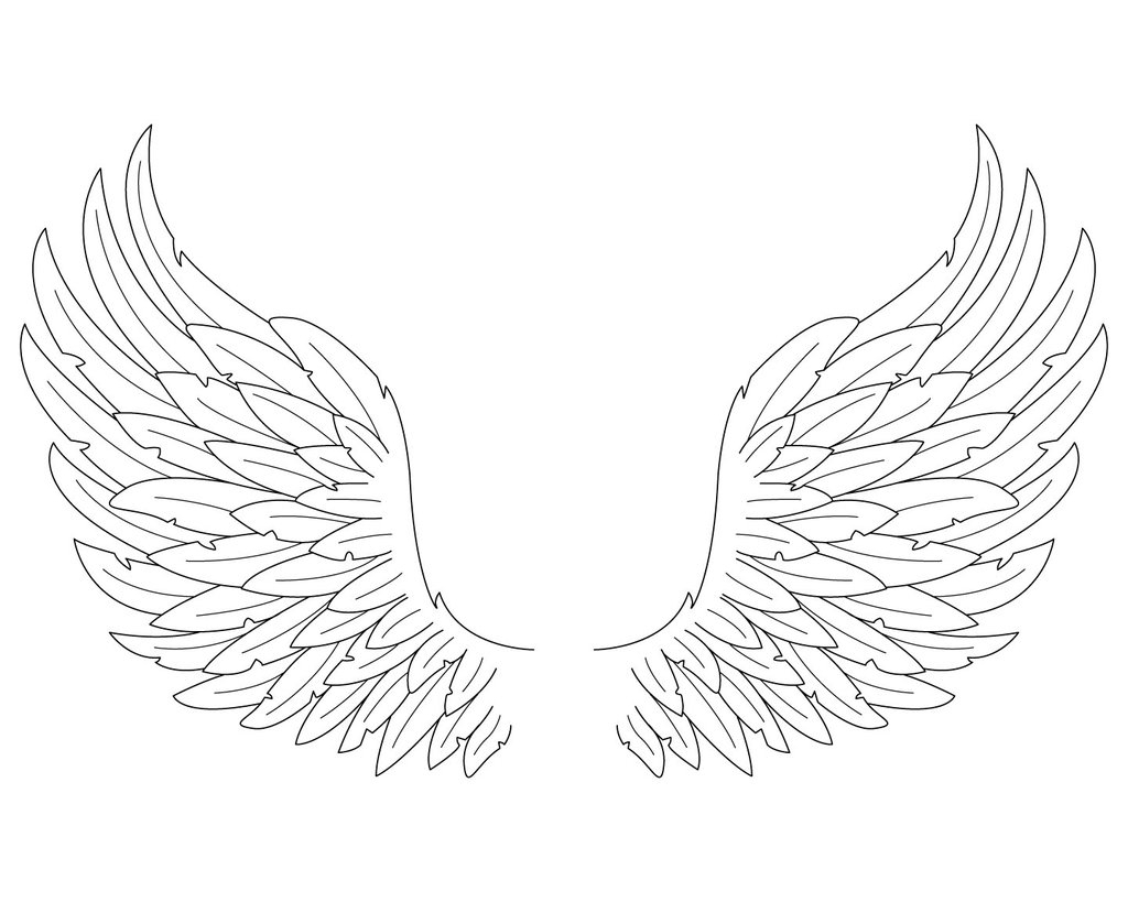 1024x819 Angel Wings Sketches
