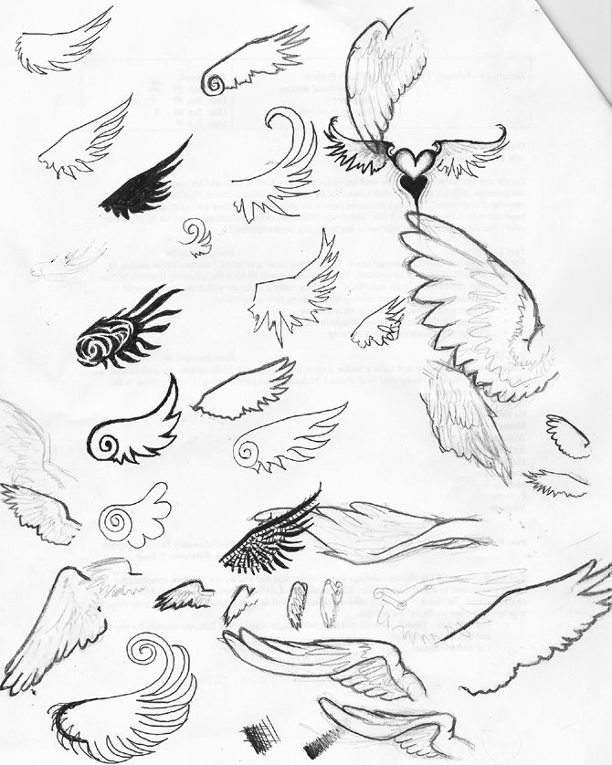 Dragon Wings Drawing at GetDrawings | Free download