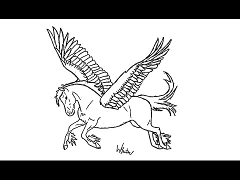 480x360 How To Draw A Pegasus (Horse With Wings)