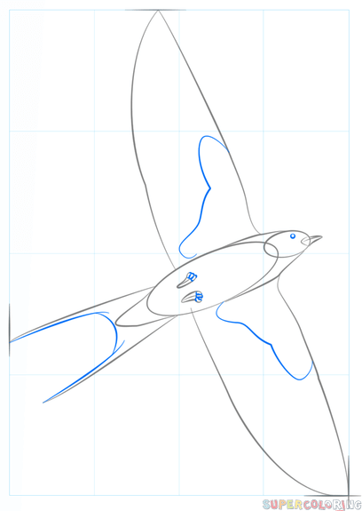 408x575 How To Draw A Barn Swallow Step By Step Drawing Tutorials