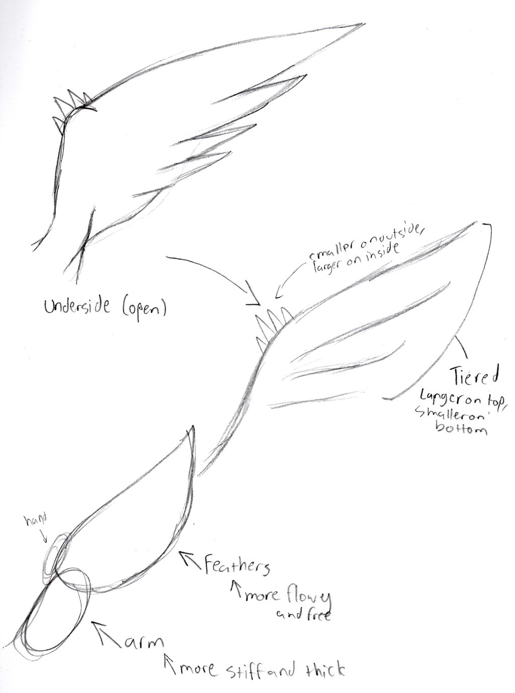 Wings Drawing Tutorial at GetDrawings | Free download