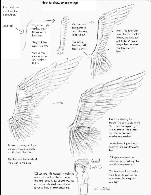 Wings Drawing Tutorial at GetDrawings | Free download