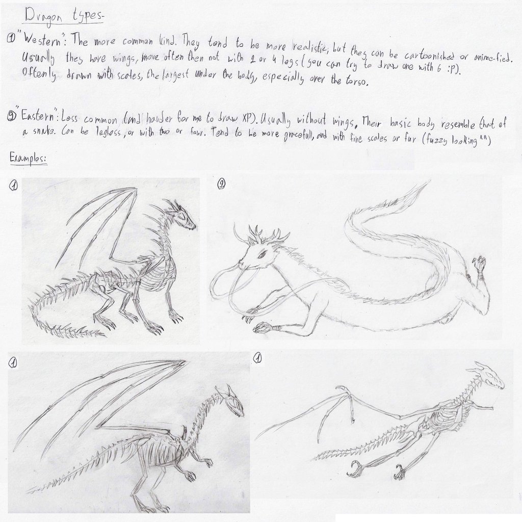 1024x1024 Dragon Tutorial Part 3 Types By Lathrin