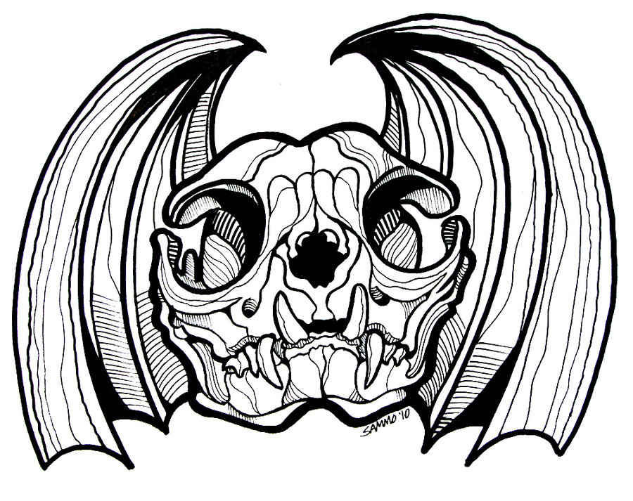 900x713 Cat Skull With Bat Wings By Sammo371