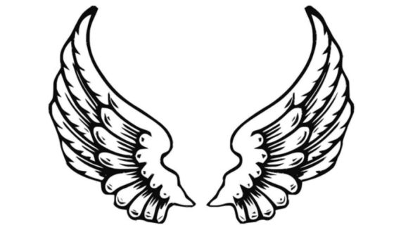 570x320 Drawn Angel Wings Line Drawing Of Angel Stock Vector Illustration