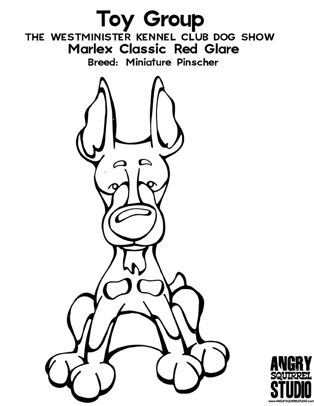 612x792 Toy Group Winner Marlex Classic Red Glare (Miniature Pinscher