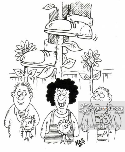 400x486 Award Winning Cartoons And Comics