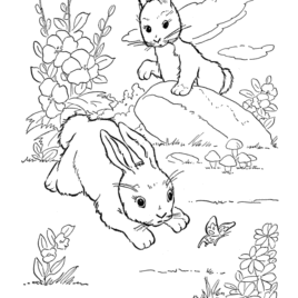 268x268 Free Coloring Pages Of Winter Animals Free