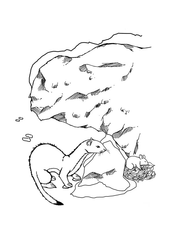 612x792 Winter Animal Mural