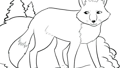 500x280 Winter Animal Coloring Pages