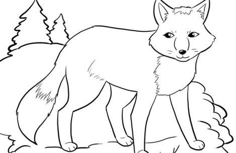 469x304 Winter Animals Coloring Pages Just Colorings