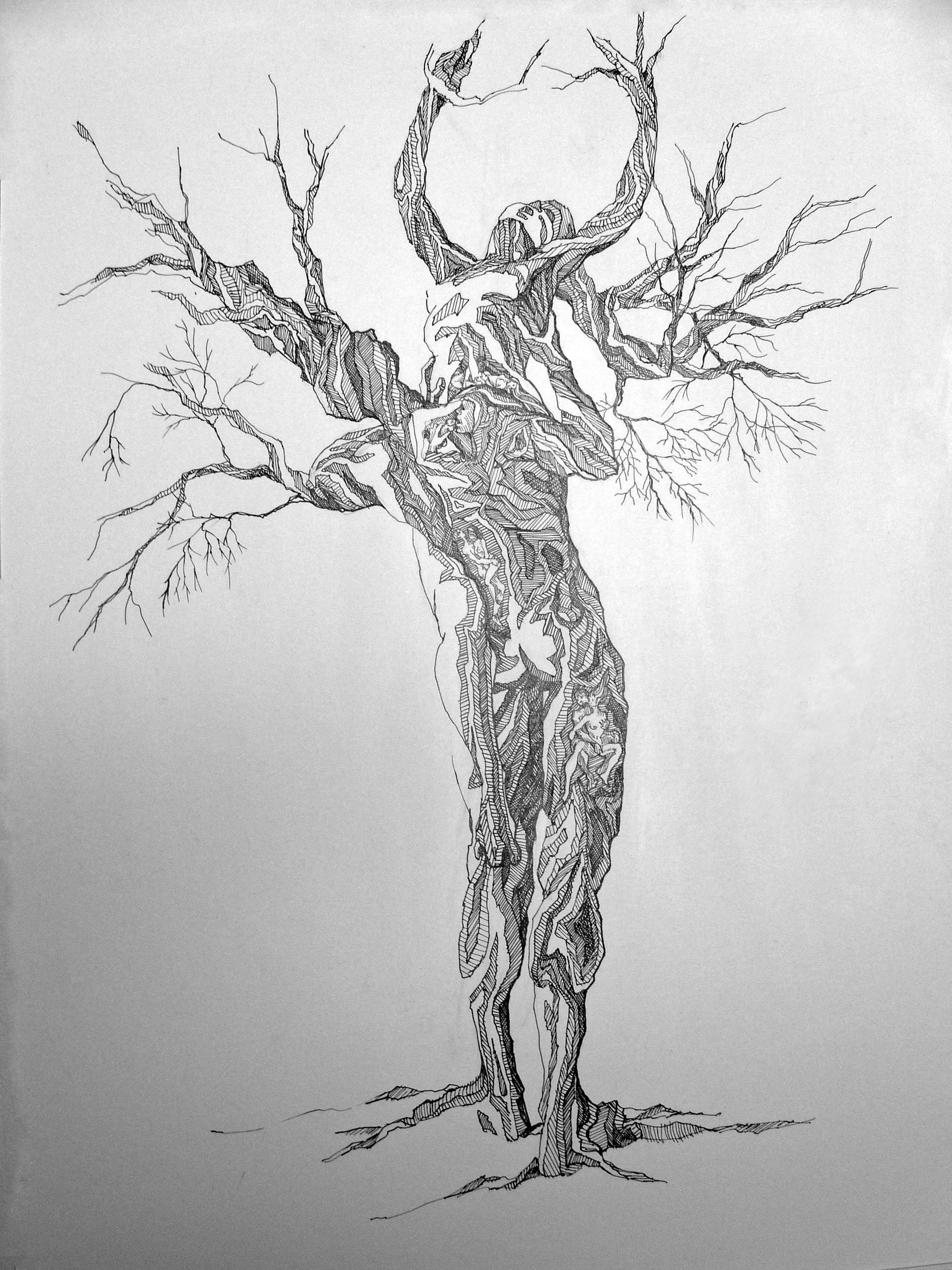 1920x2560 Drawing Us Represented