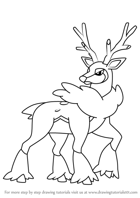 567x800 Learn How To Draw Sawsbuck