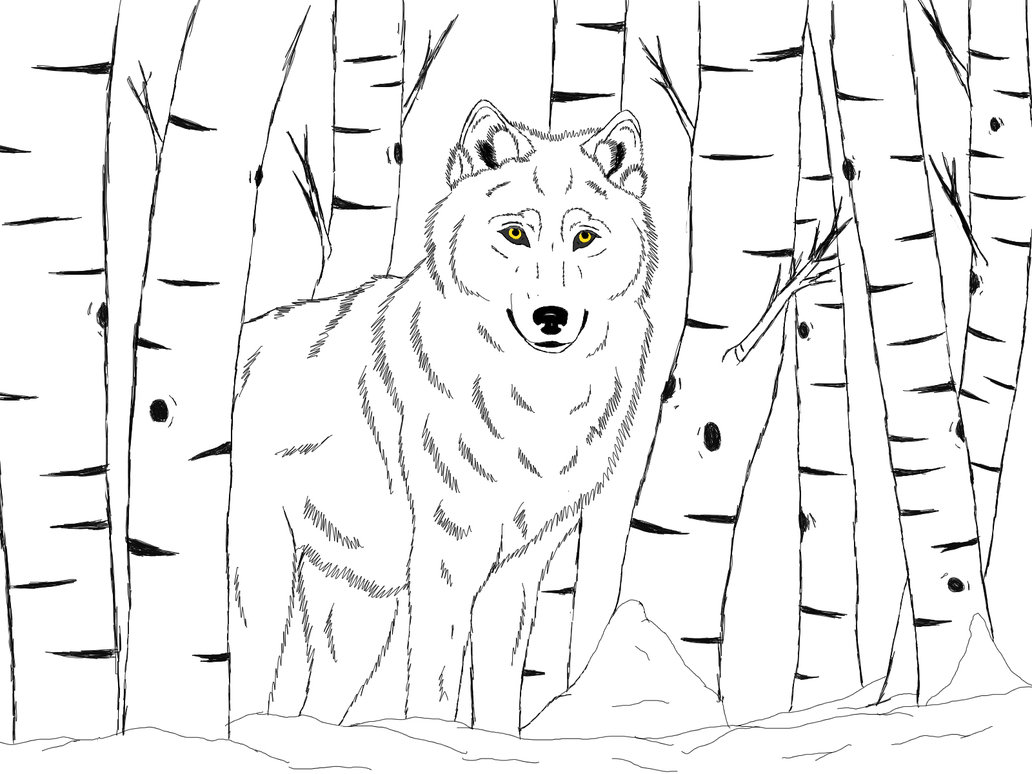 1032x774 Winter Wolf By Coreythewolftwc