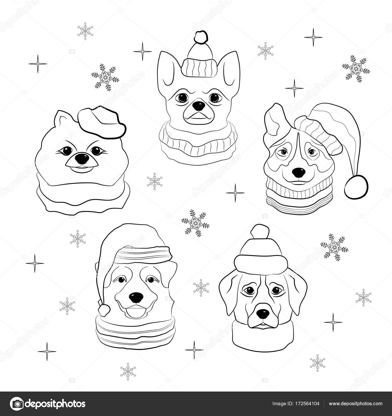 1600x1700 Head Of Dog In Winter Hat And Scarf On Snowflakes Background. Set