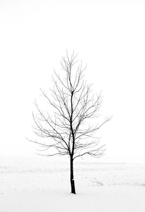 479x700 Minimalist Art Winter Landscape Photography By Hockmanphotography